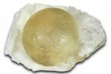 Botryoidal Yellow Fluorite on Quartz - India #342401-1